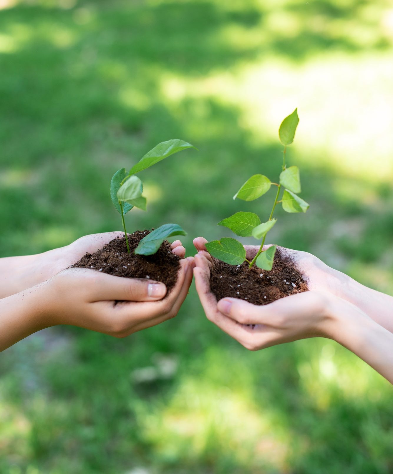 cropped-view-of-girls-holding-ground-with-seedlings-in-hands-e1616509206232.jpg